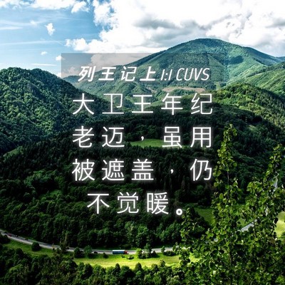 Picture 04 - 列 王 记 上 1:1 CUVS - 大 卫 王 年 纪 老 迈 ， 虽 用 被 遮 - Bible Verse Picture