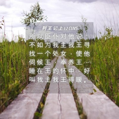Picture 04 - 列 王 记 上 1:2 CUVS - 所 以 臣 仆 对 他 说 ： 不 如 为 我 - Bible Verse Picture