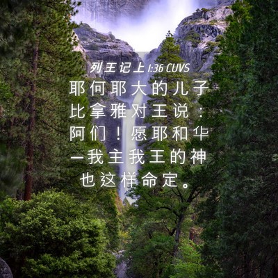 Picture 04 - 列 王 记 上 1:36 CUVS - 耶 何 耶 大 的 儿 子 比 拿 雅 对 王 - Bible Verse Picture