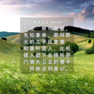 Picture 04 - 列 王 记 上 1:38 CUVS - 於 是 ， 祭 司 撒 督 、 先 知 拿 单 - Bible Verse Picture