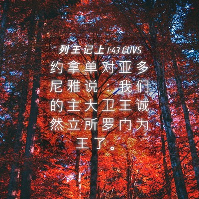 Picture 04 - 列 王 记 上 1:43 CUVS - 约 拿 单 对 亚 多 尼 雅 说 ： 我 们 - Bible Verse Picture
