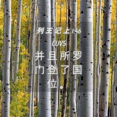 Picture 04 - 列 王 记 上 1:46 CUVS - 并 且 所 罗 门 登 了 国 位 - Bible Verse Picture