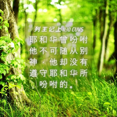 Picture 04 - 列 王 记 上 11:10 CUVS - 耶 和 华 曾 吩 咐 他 不 可 随 从 别 - Bible Verse Picture