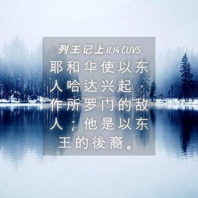 Picture 04 - 列 王 记 上 11:14 CUVS - 耶 和 华 使 以 东 人 哈 达 兴 起 ， - Bible Verse Picture