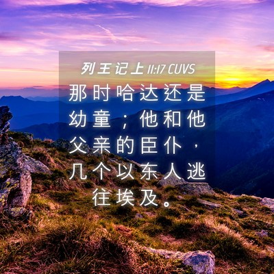 Picture 04 - 列 王 记 上 11:17 CUVS - 那 时 哈 达 还 是 幼 童 ； 他 和 他 - Bible Verse Picture