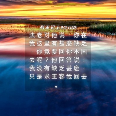 Picture 04 - 列 王 记 上 11:22 CUVS - 法 老 对 他 说 ： 你 在 我 这 里 有 - Bible Verse Picture