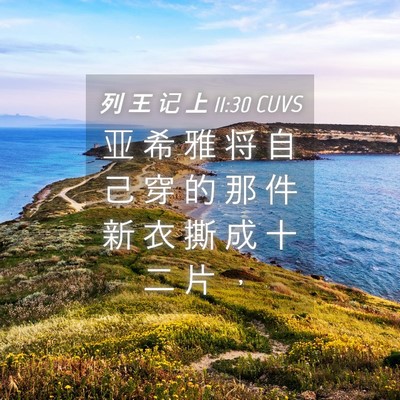 Picture 04 - 列 王 记 上 11:30 CUVS - 亚 希 雅 将 自 己 穿 的 那 件 新 衣 - Bible Verse Picture