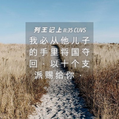 Picture 04 - 列 王 记 上 11:35 CUVS - 我 必 从 他 儿 子 的 手 里 将 国 夺 - Bible Verse Picture