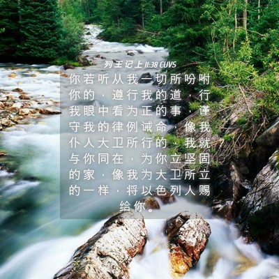 Picture 04 - 列 王 记 上 11:38 CUVS - 你 若 听 从 我 一 切 所 吩 咐 你 的 - Bible Verse Picture