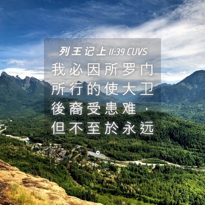 Picture 04 - 列 王 记 上 11:39 CUVS - 我 必 因 所 罗 门 所 行 的 使 大 卫 - Bible Verse Picture