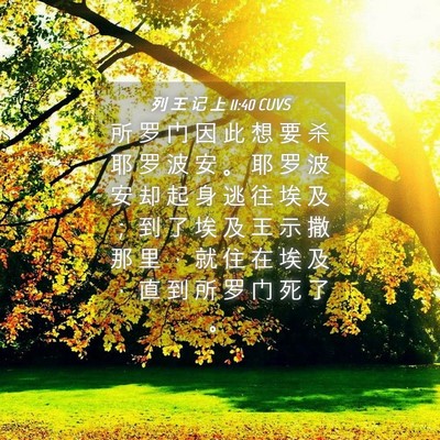 Picture 04 - 列 王 记 上 11:40 CUVS - 所 罗 门 因 此 想 要 杀 耶 罗 波 安 - Bible Verse Picture