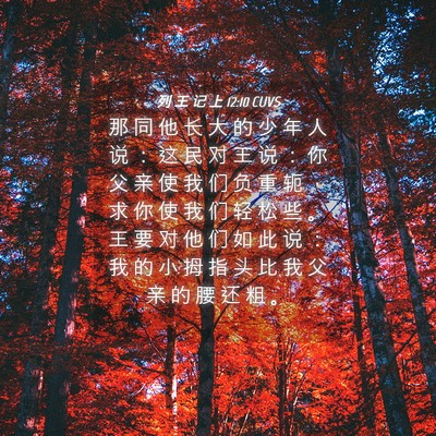 Picture 04 - 列 王 记 上 12:10 CUVS - 那 同 他 长 大 的 少 年 人 说 ： 这 - Bible Verse Picture