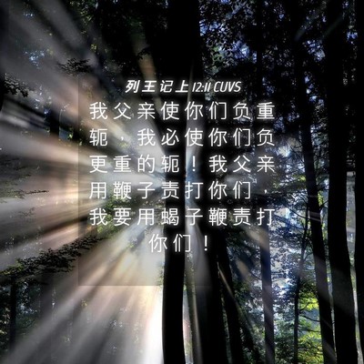 Picture 04 - 列 王 记 上 12:11 CUVS - 我 父 亲 使 你 们 负 重 轭 ， 我 必 - Bible Verse Picture