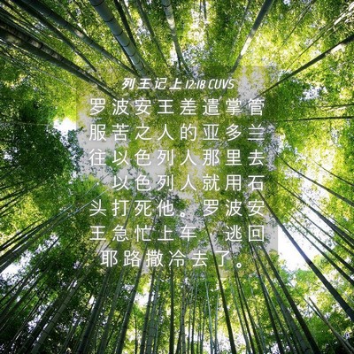Picture 04 - 列 王 记 上 12:18 CUVS - 罗 波 安 王 差 遣 掌 管 服 苦 之 人 - Bible Verse Picture