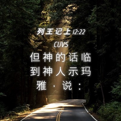 Picture 04 - 列 王 记 上 12:22 CUVS - 但 神 的 话 临 到 神 人 示 玛 雅 ， - Bible Verse Picture