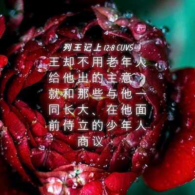 Picture 04 - 列 王 记 上 12:8 CUVS - 王 却 不 用 老 年 人 给 他 出 的 主 - Bible Verse Picture