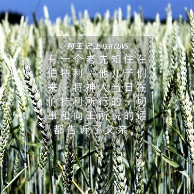Picture 04 - 列 王 记 上 13:11 CUVS - 有 一 个 老 先 知 住 在 伯 特 利 ， - Bible Verse Picture