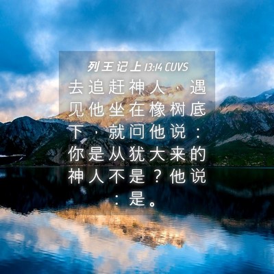 Picture 04 - 列 王 记 上 13:14 CUVS - 去 追 赶 神 人 ， 遇 见 他 坐 在 橡 - Bible Verse Picture
