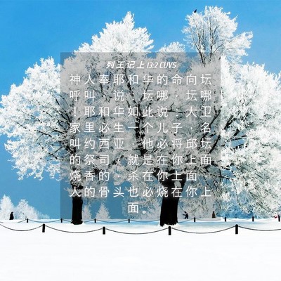 Picture 04 - 列 王 记 上 13:2 CUVS - 神 人 奉 耶 和 华 的 命 向 坛 呼 叫 - Bible Verse Picture