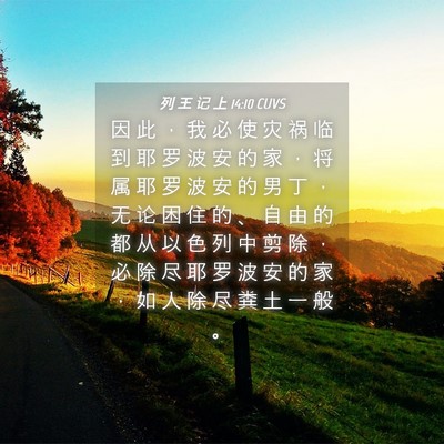 Picture 04 - 列 王 记 上 14:10 CUVS - 因 此 ， 我 必 使 灾 祸 临 到 耶 罗 - Bible Verse Picture