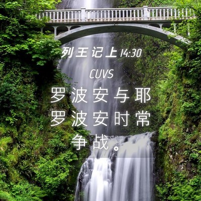Picture 04 - 列 王 记 上 14:30 CUVS - 罗 波 安 与 耶 罗 波 安 时 常 争 战 - Bible Verse Picture