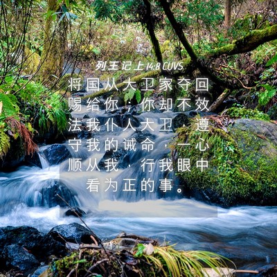 Picture 04 - 列 王 记 上 14:8 CUVS - 将 国 从 大 卫 家 夺 回 赐 给 你 ； - Bible Verse Picture
