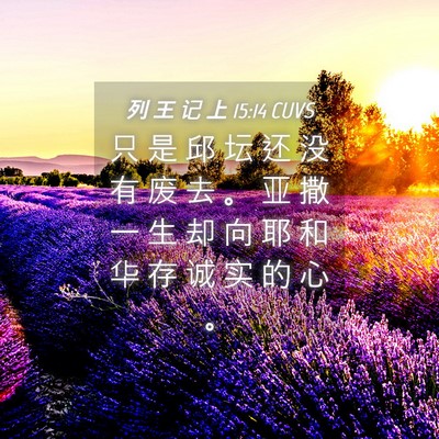 Picture 04 - 列 王 记 上 15:14 CUVS - 只 是 邱 坛 还 没 有 废 去 。 亚 撒 - Bible Verse Picture