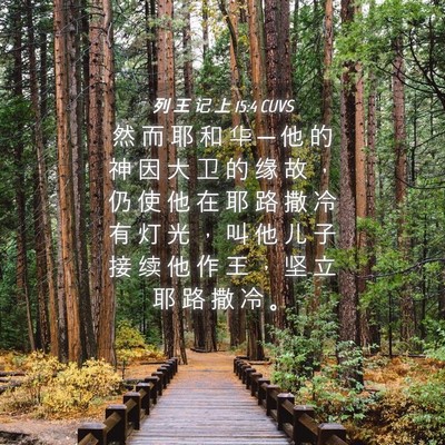 Picture 04 - 列 王 记 上 15:4 CUVS - 然 而 耶 和 华 ─ 他 的 神 因 大 卫 - Bible Verse Picture