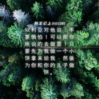 Picture 04 - 列 王 记 上 17:13 CUVS - 以 利 亚 对 他 说 ： 不 要 惧 怕 ！ - Bible Verse Picture
