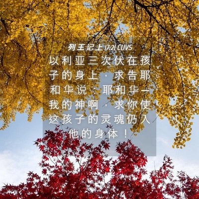 Picture 04 - 列 王 记 上 17:21 CUVS - 以 利 亚 三 次 伏 在 孩 子 的 身 上 - Bible Verse Picture