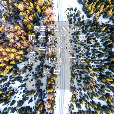 Picture 04 - 列 王 记 上 18:11 CUVS - 现 在 你 说 ， 要 去 告 诉 你 主 人 - Bible Verse Picture