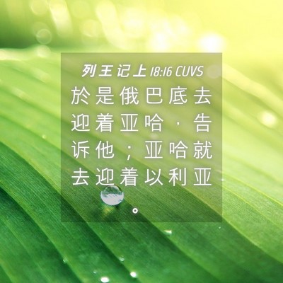 Picture 04 - 列 王 记 上 18:16 CUVS - 於 是 俄 巴 底 去 迎 着 亚 哈 ， 告 - Bible Verse Picture