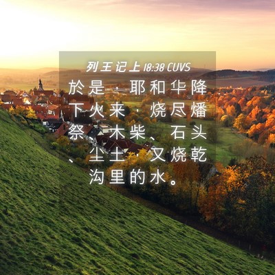 Picture 04 - 列 王 记 上 18:38 CUVS - 於 是 ， 耶 和 华 降 下 火 来 ， 烧 - Bible Verse Picture