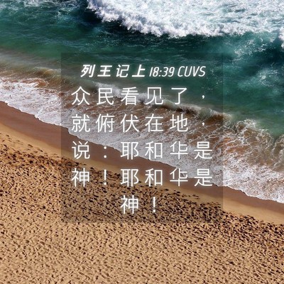 Picture 04 - 列 王 记 上 18:39 CUVS - 众 民 看 见 了 ， 就 俯 伏 在 地 ， - Bible Verse Picture