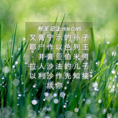 Picture 04 - 列 王 记 上 19:16 CUVS - 又 膏 宁 示 的 孙 子 耶 户 作 以 色 - Bible Verse Picture