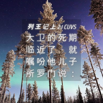 Picture 04 - 列 王 记 上 2:1 CUVS - 大 卫 的 死 期 临 近 了 ， 就 嘱 吩 - Bible Verse Picture
