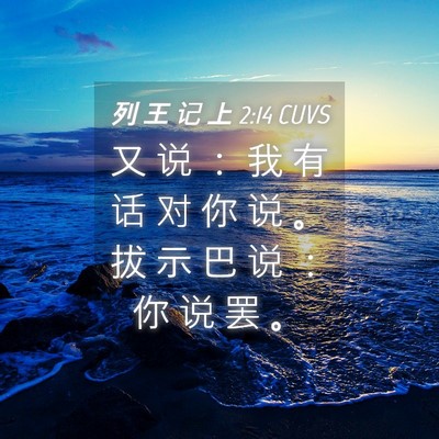 Picture 04 - 列 王 记 上 2:14 CUVS - 又 说 ： 我 有 话 对 你 说 。 拔 示 - Bible Verse Picture