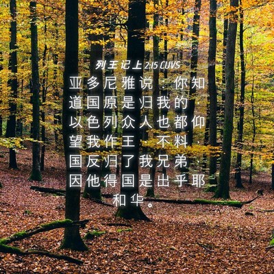 Picture 04 - 列 王 记 上 2:15 CUVS - 亚 多 尼 雅 说 ： 你 知 道 国 原 是 - Bible Verse Picture