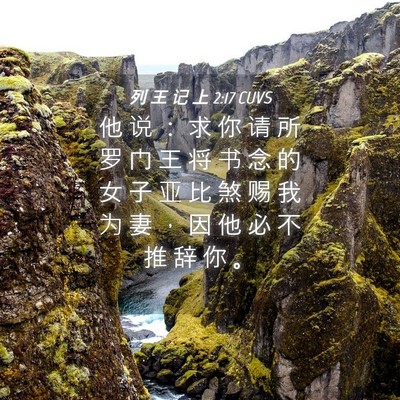 Picture 04 - 列 王 记 上 2:17 CUVS - 他 说 ： 求 你 请 所 罗 门 王 将 书 - Bible Verse Picture