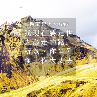 Picture 04 - 列 王 记 上 2:2 CUVS - 我 现 在 要 走 世 人 必 走 的 路 。 - Bible Verse Picture