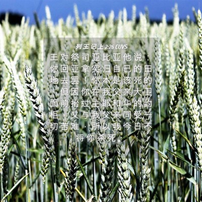 Picture 04 - 列 王 记 上 2:26 CUVS - 王 对 祭 司 亚 比 亚 他 说 ： 你 回 - Bible Verse Picture