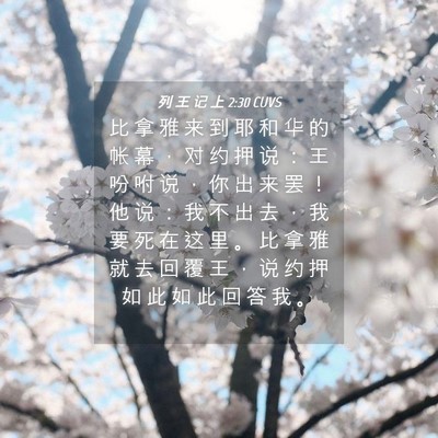 Picture 04 - 列 王 记 上 2:30 CUVS - 比 拿 雅 来 到 耶 和 华 的 帐 幕 ， - Bible Verse Picture