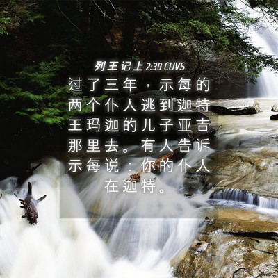Picture 04 - 列 王 记 上 2:39 CUVS - 过 了 三 年 ， 示 每 的 两 个 仆 人 - Bible Verse Picture