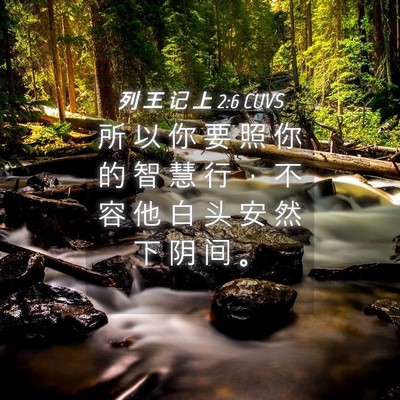 Picture 04 - 列 王 记 上 2:6 CUVS - 所 以 你 要 照 你 的 智 慧 行 ， 不 - Bible Verse Picture