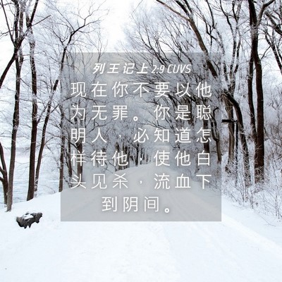 Picture 04 - 列 王 记 上 2:9 CUVS - 现 在 你 不 要 以 他 为 无 罪 。 你 - Bible Verse Picture