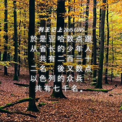 Picture 04 - 列 王 记 上 20:15 CUVS - 於 是 亚 哈 数 点 跟 从 省 长 的 少 - Bible Verse Picture