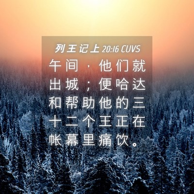 Picture 04 - 列 王 记 上 20:16 CUVS - 午 间 ， 他 们 就 出 城 ； 便 哈 达 - Bible Verse Picture