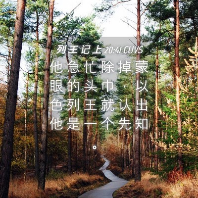 Picture 04 - 列 王 记 上 20:41 CUVS - 他 急 忙 除 掉 蒙 眼 的 头 巾 ， 以 - Bible Verse Picture