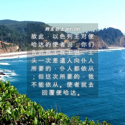 Picture 04 - 列 王 记 上 20:9 CUVS - 故 此 ， 以 色 列 王 对 便 哈 达 的 - Bible Verse Picture