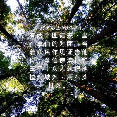 Picture 04 - 列 王 记 上 21:13 CUVS - 有 两 个 匪 徒 来 ， 坐 在 拿 伯 的 - Bible Verse Picture